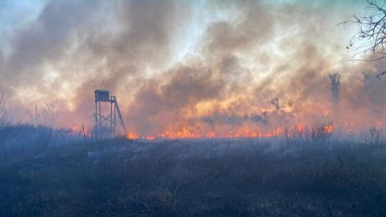 High Winds Spark Wildfires in Wisconsin