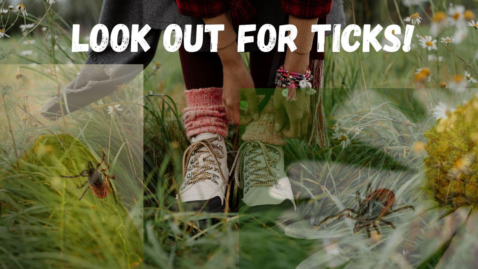 Lyme Disease Awareness Month