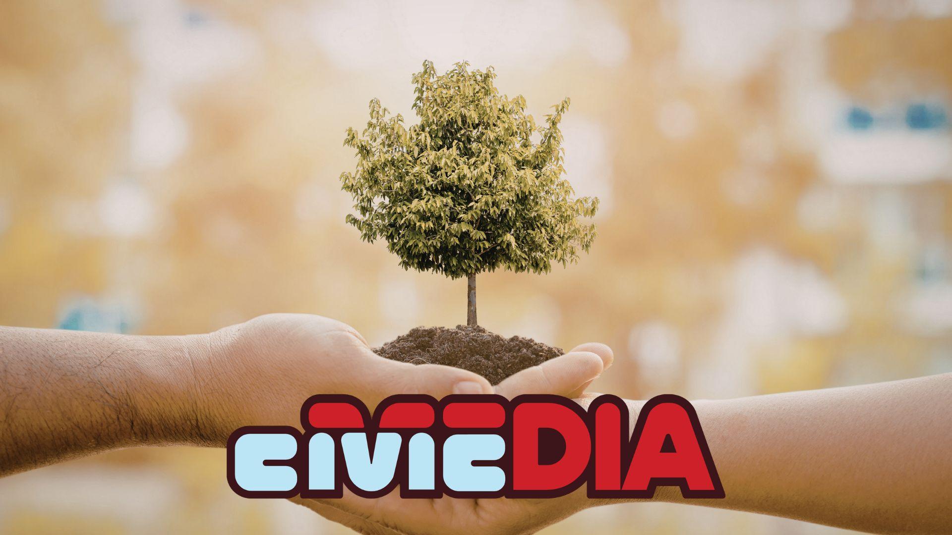 Update on Wisconsin’s “Trillion Trees Pledge”