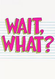 Bear costume, crawfish ice cream and more!