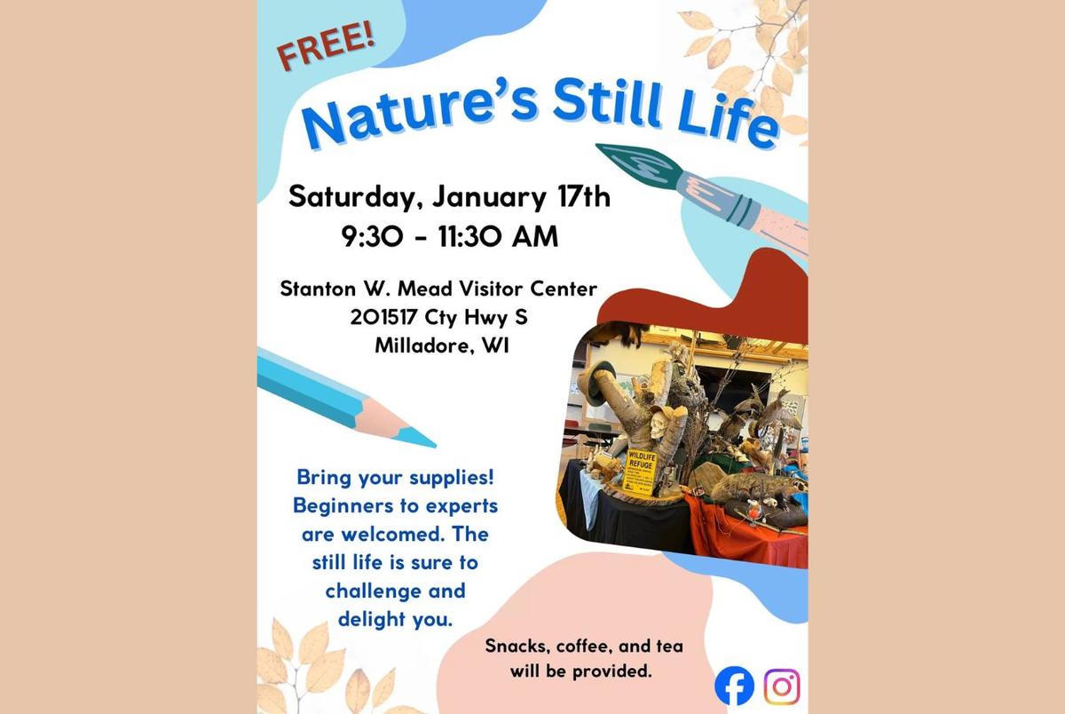 Nature's Still Life @ George W. Mead Wildlife Area